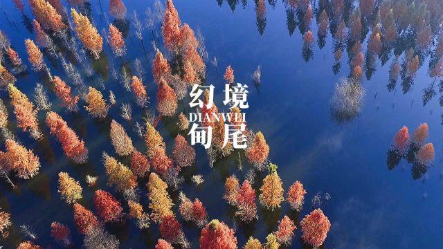 美丽皇后逃脱
