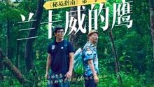 努力跳跃