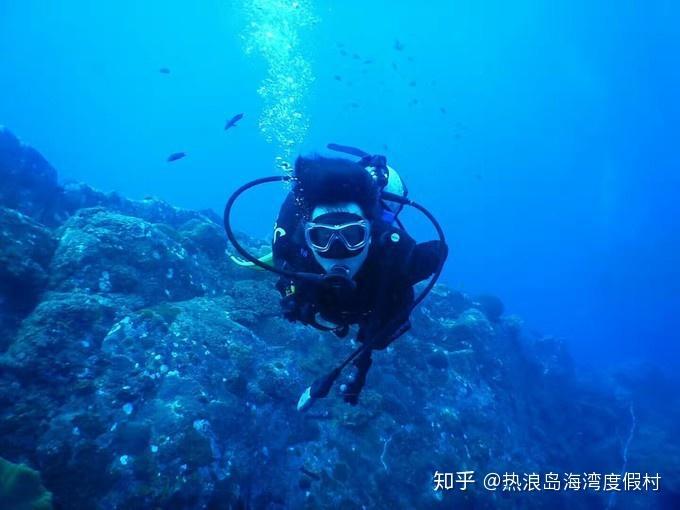 探索自求多福,获取专业知识与互动交流